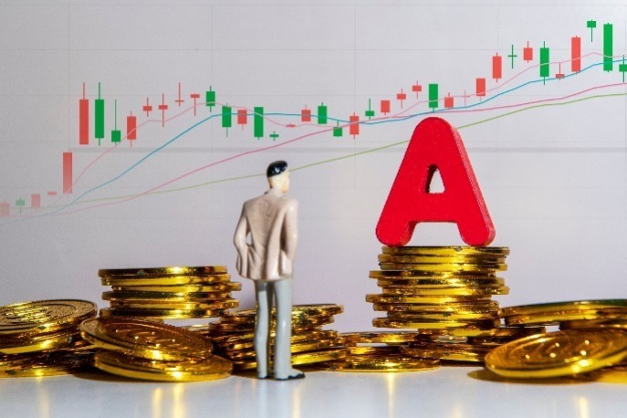 A��2026�����ź족 ���������й��ʲ�