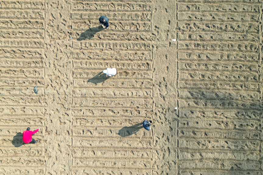 ����ũ�幤�����黮��2026�ꡰ��ũ���ص�����