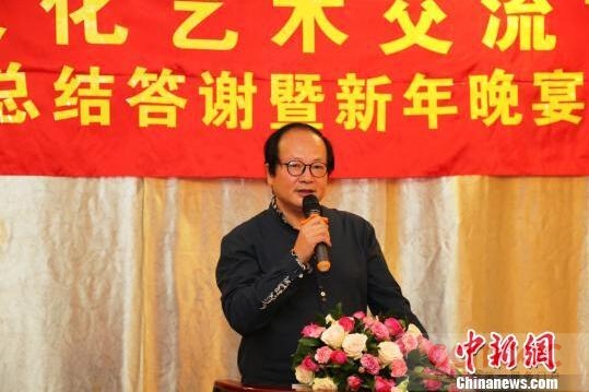 南非中国文化艺术交流协会总结2015年工作成绩