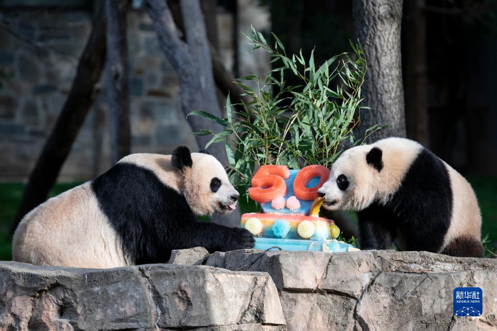 通讯：携手保育大熊猫 共同呵护中美友谊――记美国史密森学会国家动物园庆祝大熊猫抵美暨大熊猫项目50周年