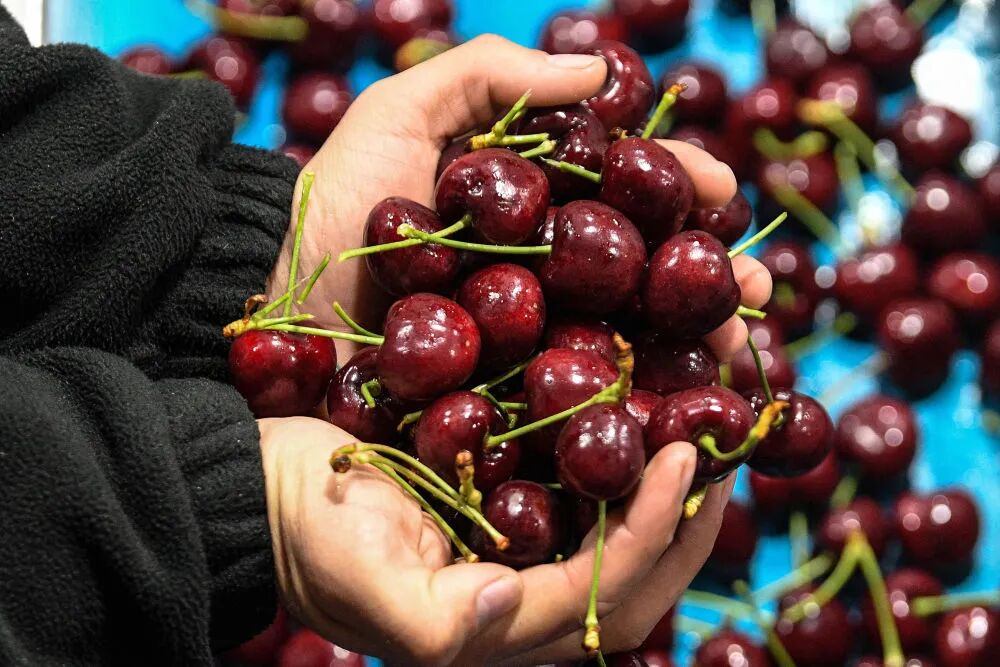 Լ7600�ֳ����ӡ���ݮ�ȣ����ˣ�