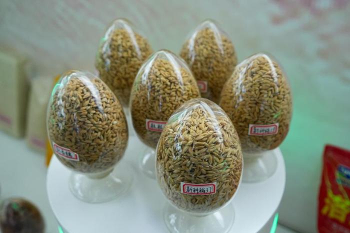 ѧ�ߣ���ʳ�ȵ�ס��ҲҪ���ú�