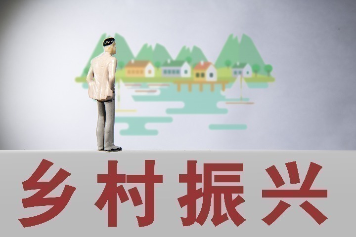 实施八大工程 乡村建设行动明确路线图