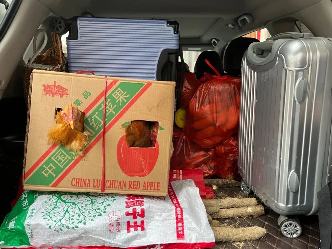 ��һ�����Ͱ����ŵĲ�԰����ˡ�