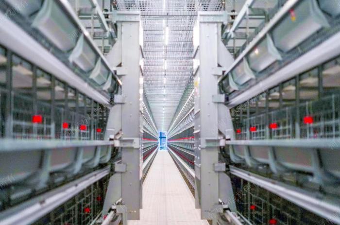 ������С������ˣ��㽭·�ŷ����󳡡����𵰡� �¼���������������ҵ