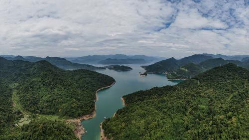 ���ַ�ʽ��չ �й�������ҵ����ؼ�ת����