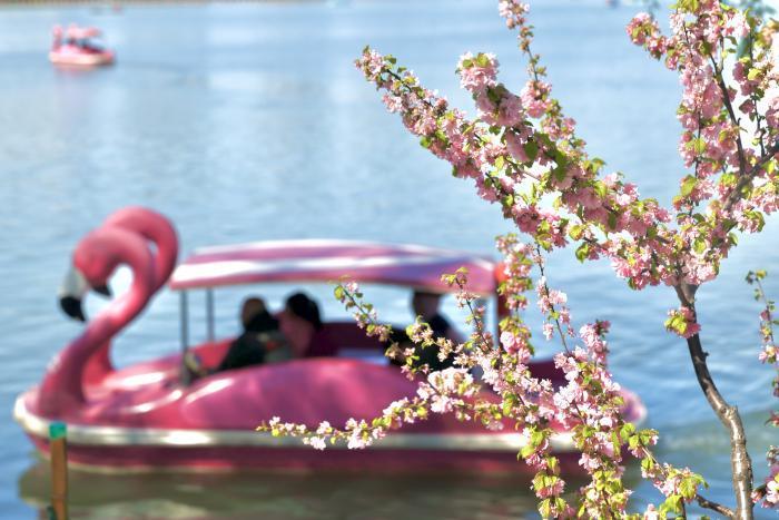 �������ڱ����Ӵ��οͳ�ǧ���˴� ͬ����4.4%