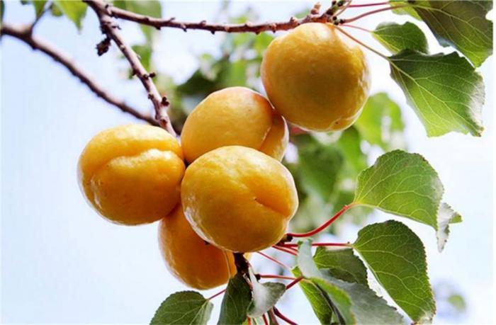 ����ػ͵ġ��ӡ��� ȫ�����ʡ���