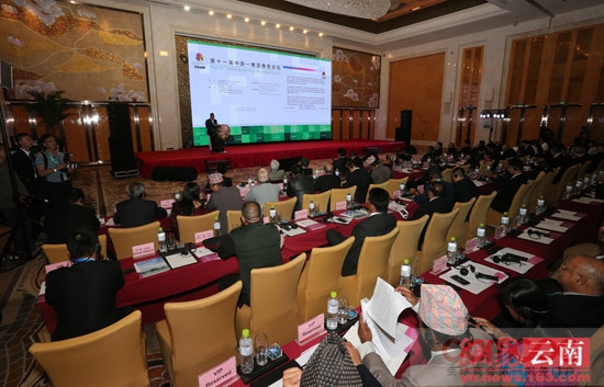 E437AC40DA8403E70A53BDB0D8509B1E.JPG
