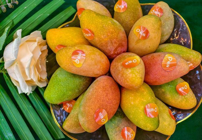 ����֮�꿴�й���������ó�ۣ�����â��������