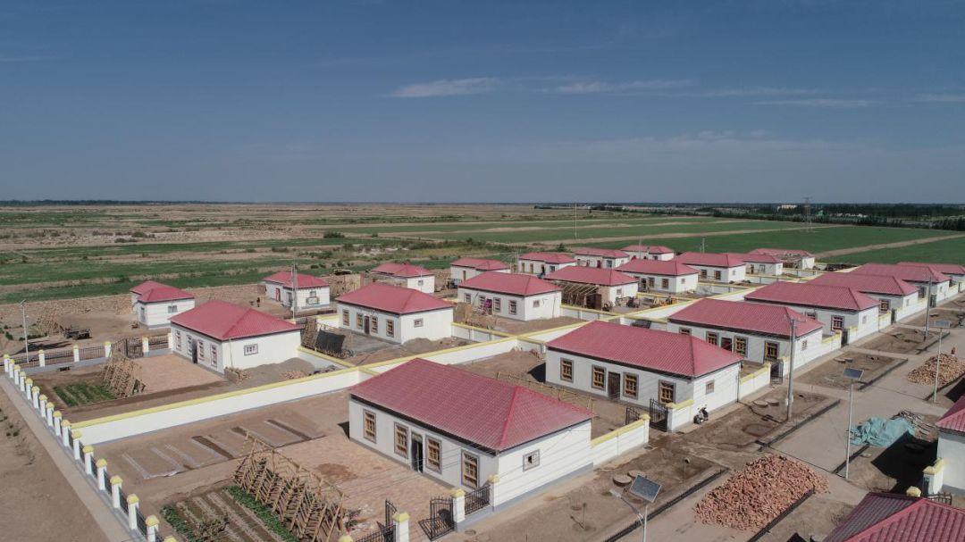 山东援疆精准助力乡村振兴