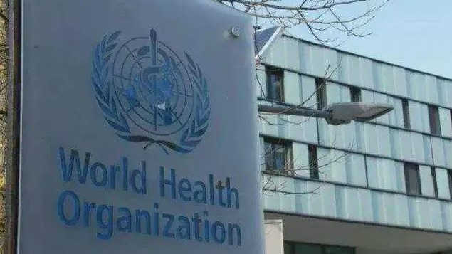 世界卫生大会聚焦新冠疫情及健康与和平