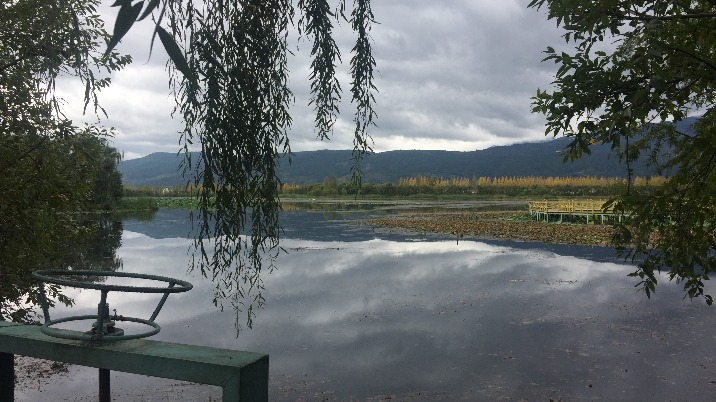 中国是经济全球化的重要推动者