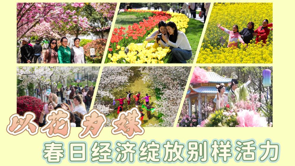 �Ի�Ϊý�����վ������ű�������