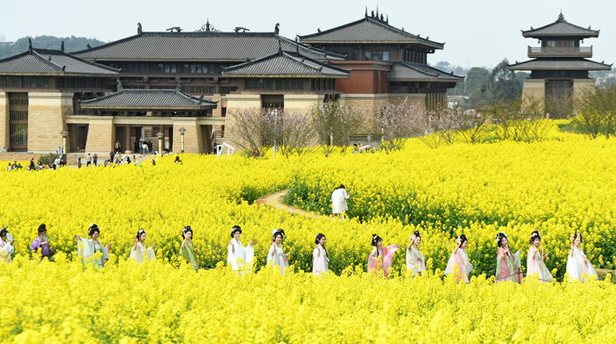 �׼��й����õ�����ح�����������ҵ������˫�򱼸���������ȫ��λ��������һ�߹۲�