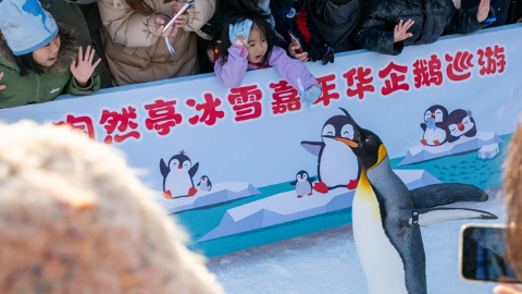 �»����ƾ��۲�ح���ϡ����޼ǡ� �������ѵ�ȼ��ѩ�������ȳ�