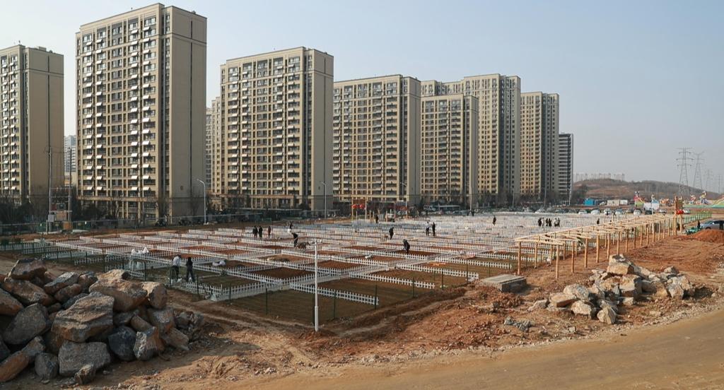 �»��ӵ�ح�����վ��á��£���������԰��Ϊɶ���ˣ�