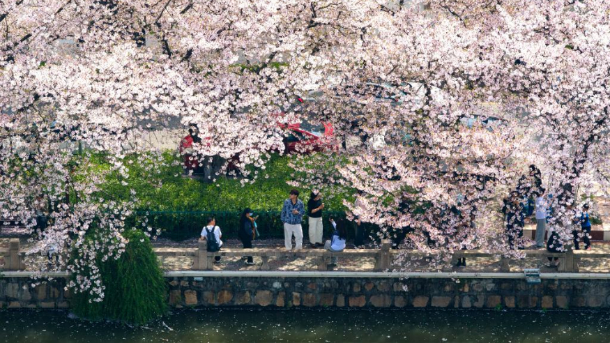 ����ɽ�Ӿ� һ·�Է�����������̤���N�֡��򿪷�ʽ��