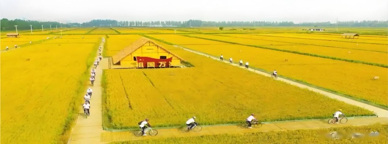 ʪ������ ��ʴ���