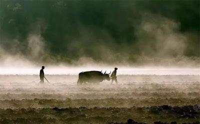 兰州牛肉面---牛肉与面带着草莽之气的缘分