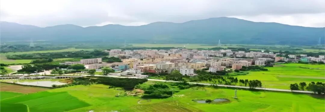 ɽ������ ����֮��