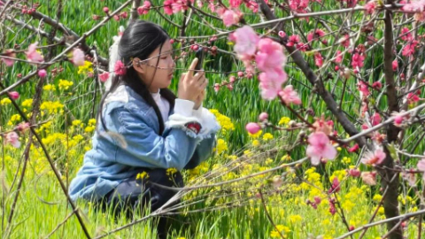 ���������룺��һ���һ�����Ϊ����������ˡ���Կ�ס�