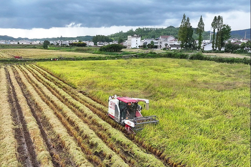 ʮ塱ͼ»ǿ̰塡ũҵӿִҵ