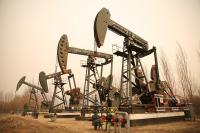 2025����Ʒ�г����·ֻ�����������146%��ԭ�ͱ�����18%