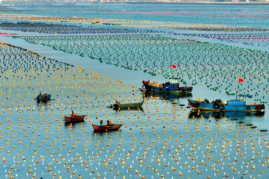 ��������Դ���ݿ��������