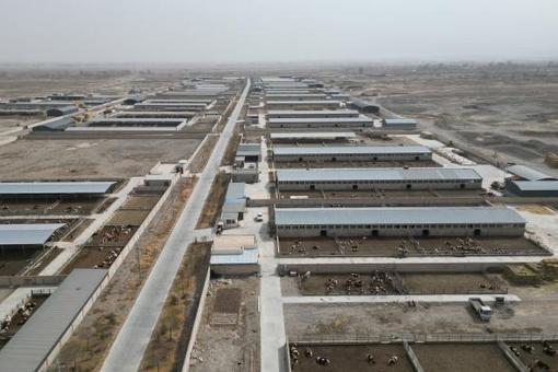 ��ɢ������Լ ��������ţ��ҵ����Ǯ��������