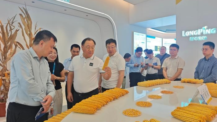 ���Ϸ�ؿ��仯���۰�̨��ͬ��ͬ�����������»���